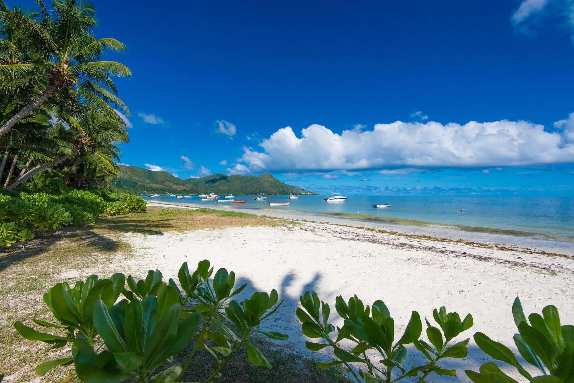 Le Tropique Villa Grand Anse  Exterior foto